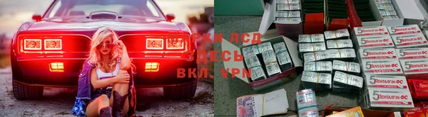 гашик Балахна