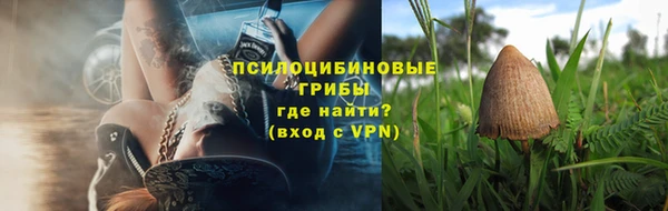 гашик Балахна