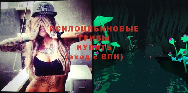 гашик Балахна