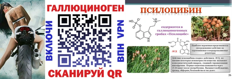 omg сайт  Гатчина  Галлюциногенные грибы GOLDEN TEACHER 