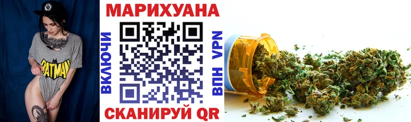 Шишки марихуана план  MEGA рабочий сайт  дарк нет состав  Гатчина 